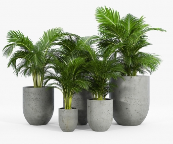 Modern Ground Green Plant Potted Plants-ID:198056942