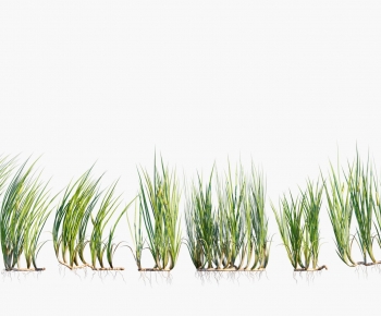 Modern The Grass-ID:611150035