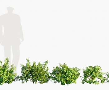 Modern Shrubbery-ID:749781146