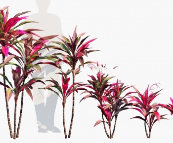 Modern Tree-ID:244369539