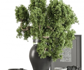 Modern Desktop Plant-ID:127720814