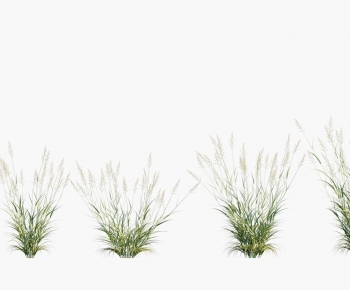 Modern Flowers And Grass-ID:677181018