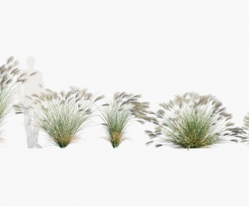 Modern Flowers And Grass-ID:544816027