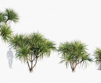 Modern Tree-ID:626442916