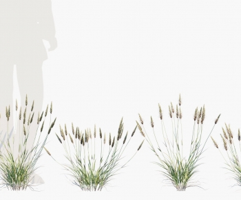 Modern Flowers And Grass-ID:651015041