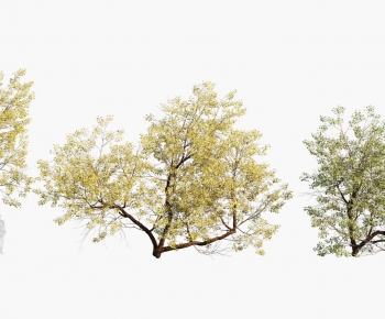 Modern Tree-ID:299601089