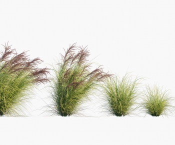 Modern Flowers And Grass-ID:856373077