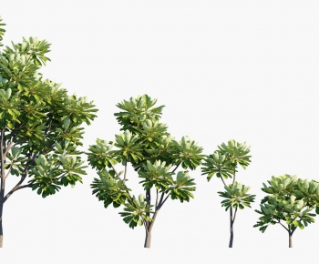 Modern Tree-ID:372483028