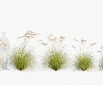 Modern Flowers And Grass-ID:892277004