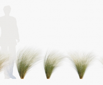 Modern The Grass-ID:731547122