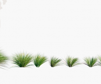 Modern The Grass-ID:309948929