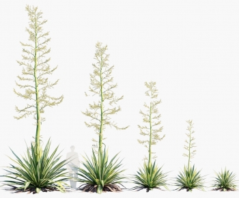 Modern Flowers And Grass-ID:848623041