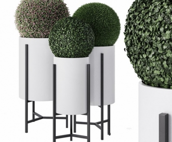 Modern Ground Green Plant Potted Plants-ID:284600975