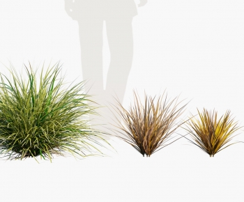 Modern Flowers And Grass-ID:173250915