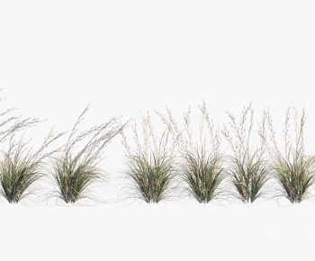 Modern Flowers And Grass-ID:522547962