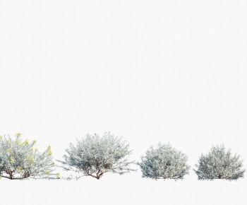 Modern Flowers And Grass-ID:232717994