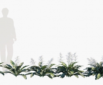 Modern Flowers And Grass-ID:670052053