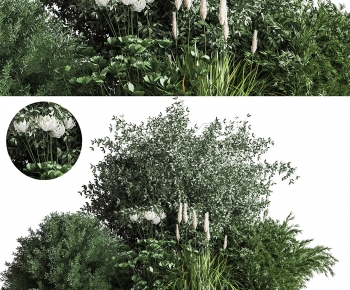 Modern Shrubbery-ID:352696901