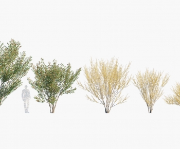 现代温带植物树木组合-ID:194947006