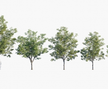 现代温带植物树木组合-ID:138640447