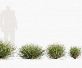 Modern The Grass-ID:666568997