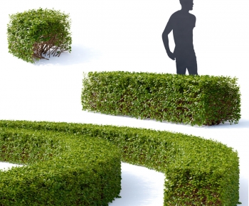 Modern Shrubbery-ID:959649093