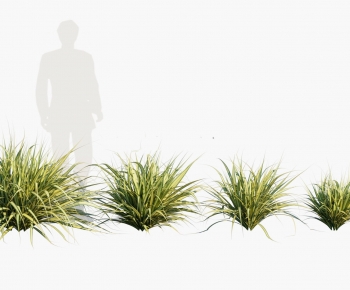 Modern The Grass-ID:204082012