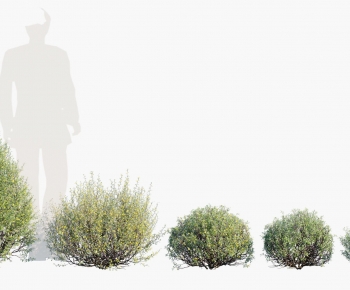 Modern Shrubbery-ID:121250234