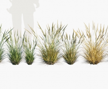 Modern Flowers And Grass-ID:608078004