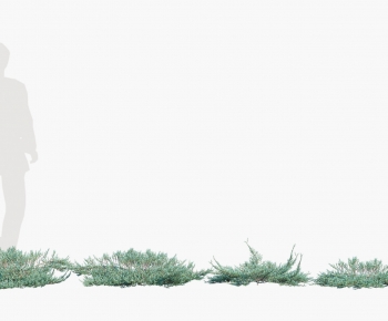 Modern Shrubbery-ID:969549898