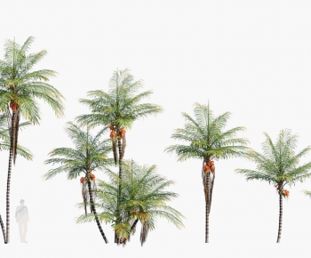 Modern Tree-ID:431420846