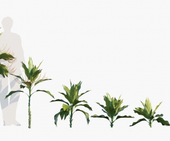 Modern Tree-ID:251636037