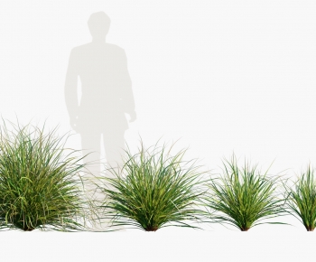 Modern Shrubbery-ID:783531902