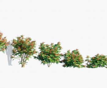 Modern Tree-ID:715089085