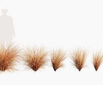 Modern The Grass-ID:220752959