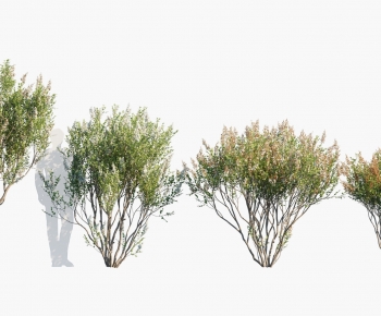 Modern Tree-ID:849729069