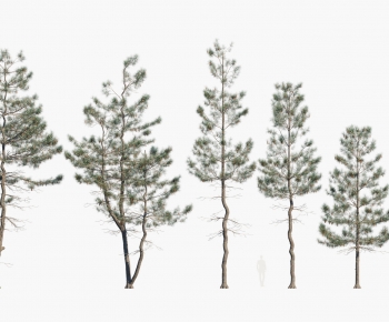 Modern Tree-ID:238231901