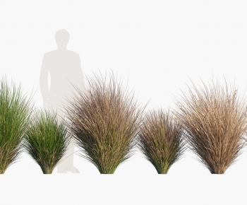 Modern The Grass-ID:552797083