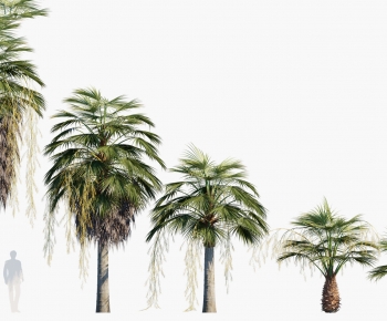 Modern Tree-ID:936583041