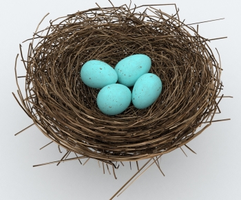 Modern Pet Products-ID:544169909