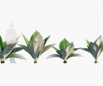 Modern Tree-ID:591525081
