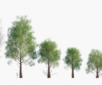 Modern Tree-ID:856781072