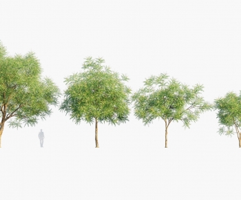 Modern Tree-ID:972476967