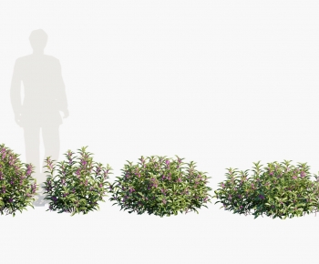 Modern Shrubbery-ID:863928085