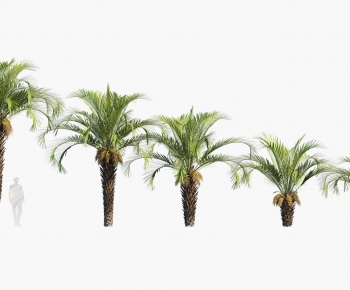 Modern Tree-ID:156290053