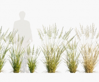 Modern Flowers And Grass-ID:391951088