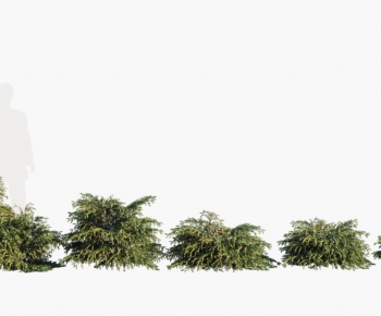 Modern Tree-ID:866604091