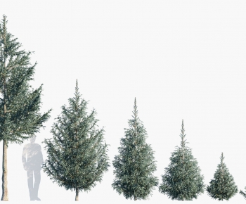 Modern Tree-ID:470496892