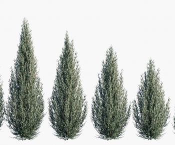 Modern Tree-ID:400300036