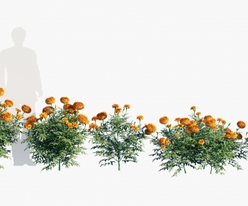 Modern Flowers And Grass-ID:561950928